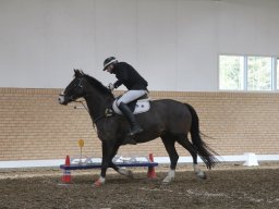 img_6029_web